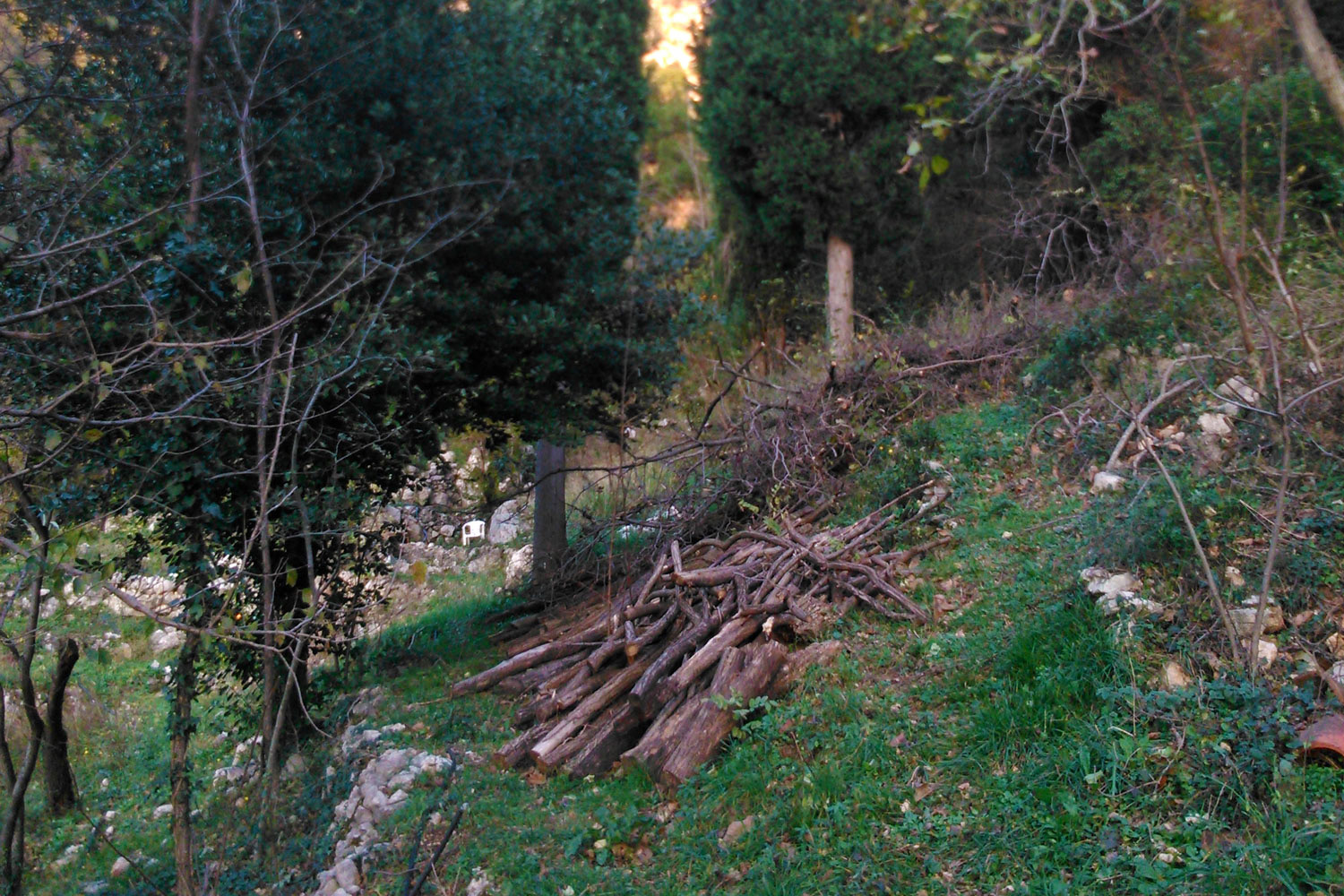 House 72m2 with land 2384m2 Buljarica Budva - 5