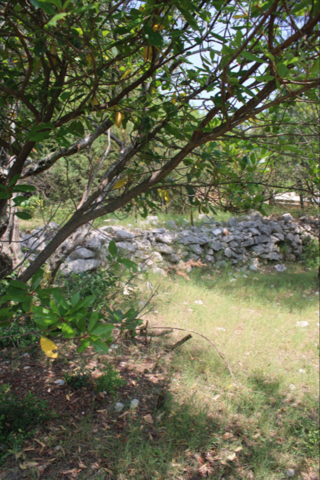 Arsa 300m2 Zambelici Luštica - 7