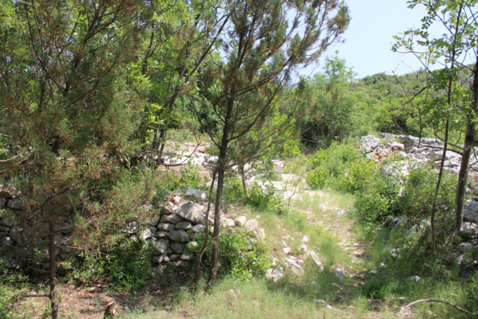 Arsa 300m2 Zambelici Luštica - 3