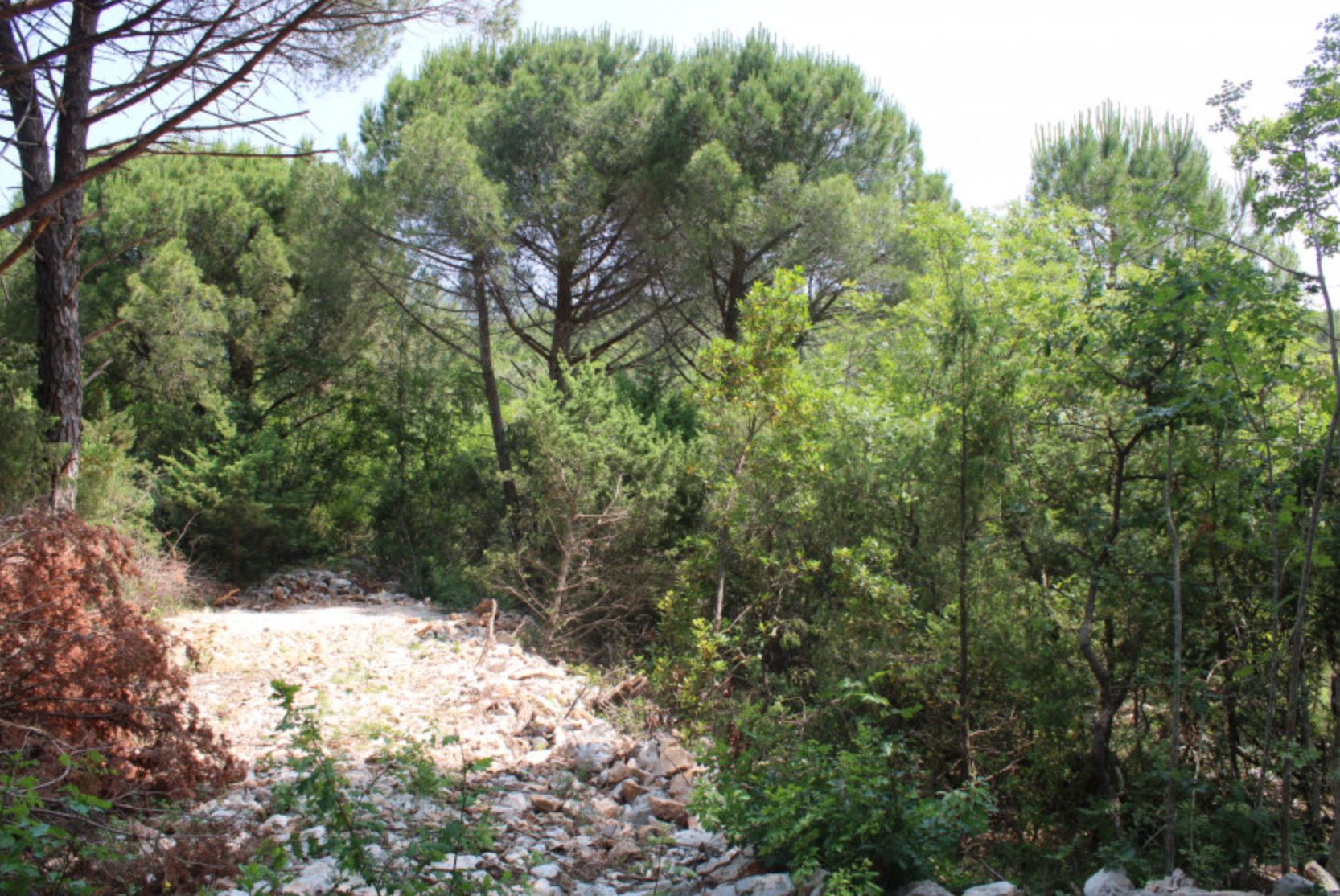 Arsa 300m2 Zambelici Luštica - 2