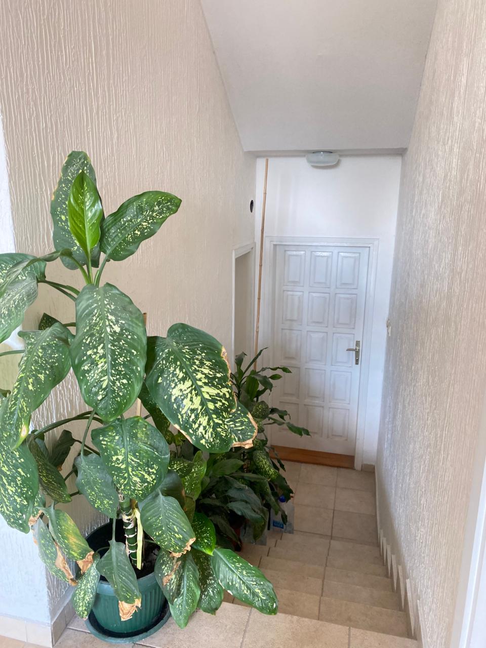 Dupleks dvosoban stan 83m2 Petrovac - 4