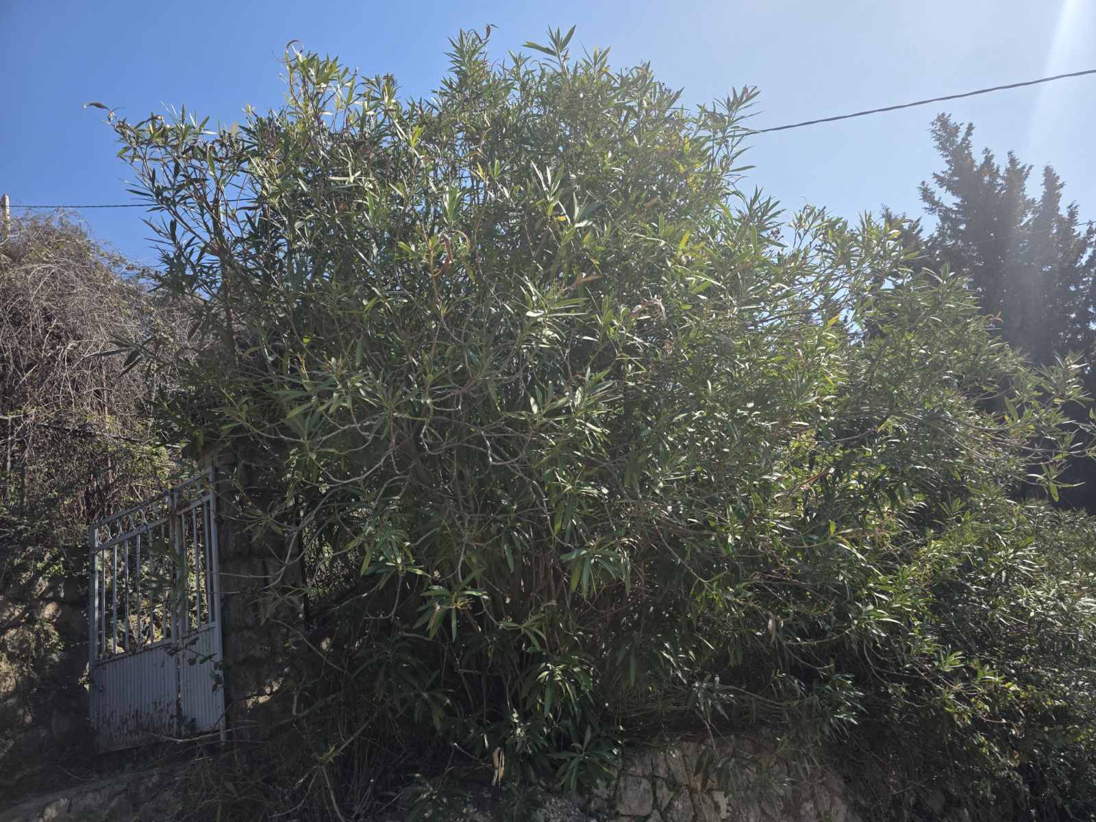 Kuća 50m2 Dobre Vode, Bar - 4