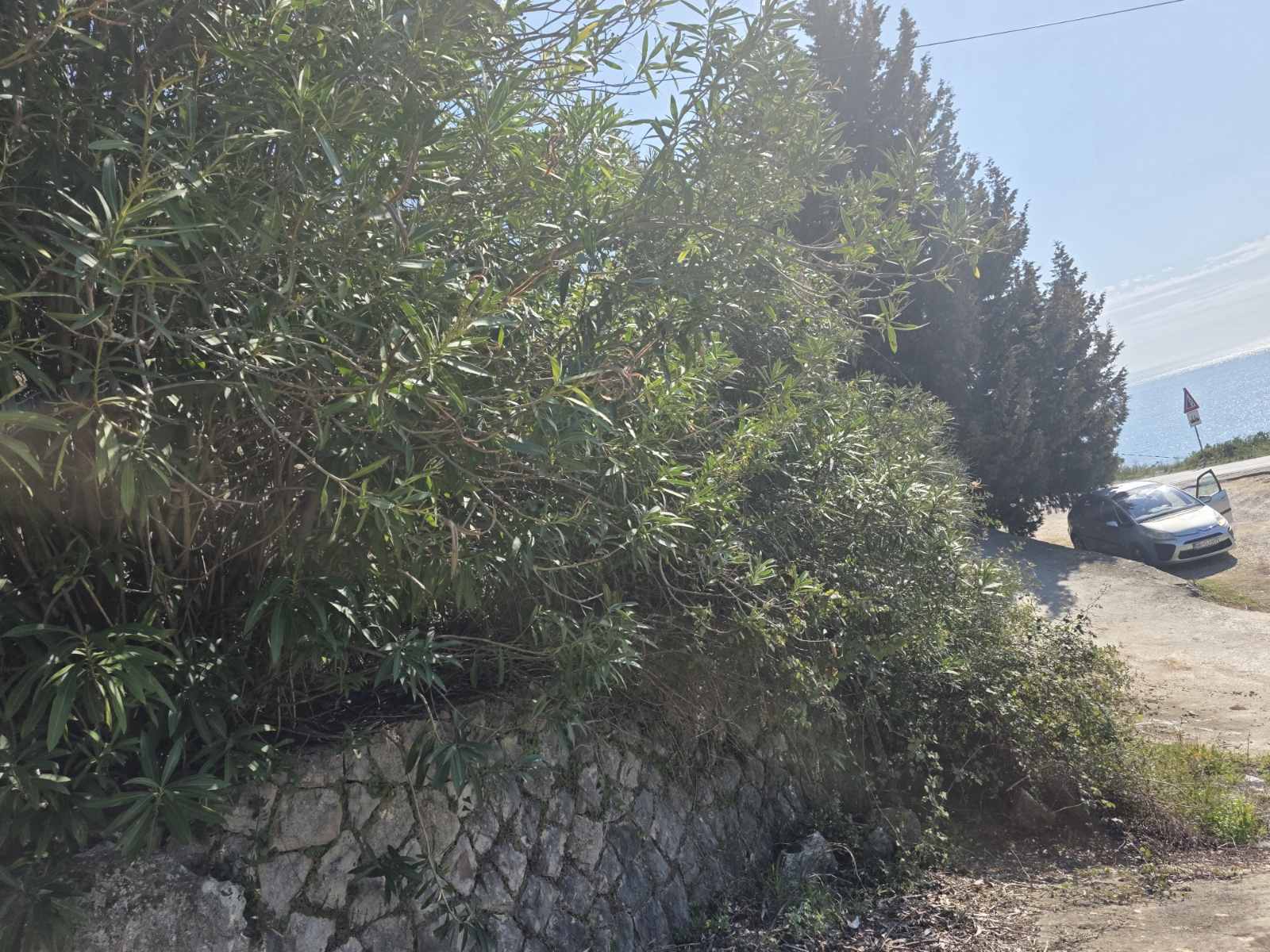 Kuća 50m2 Dobre Vode, Bar - 6