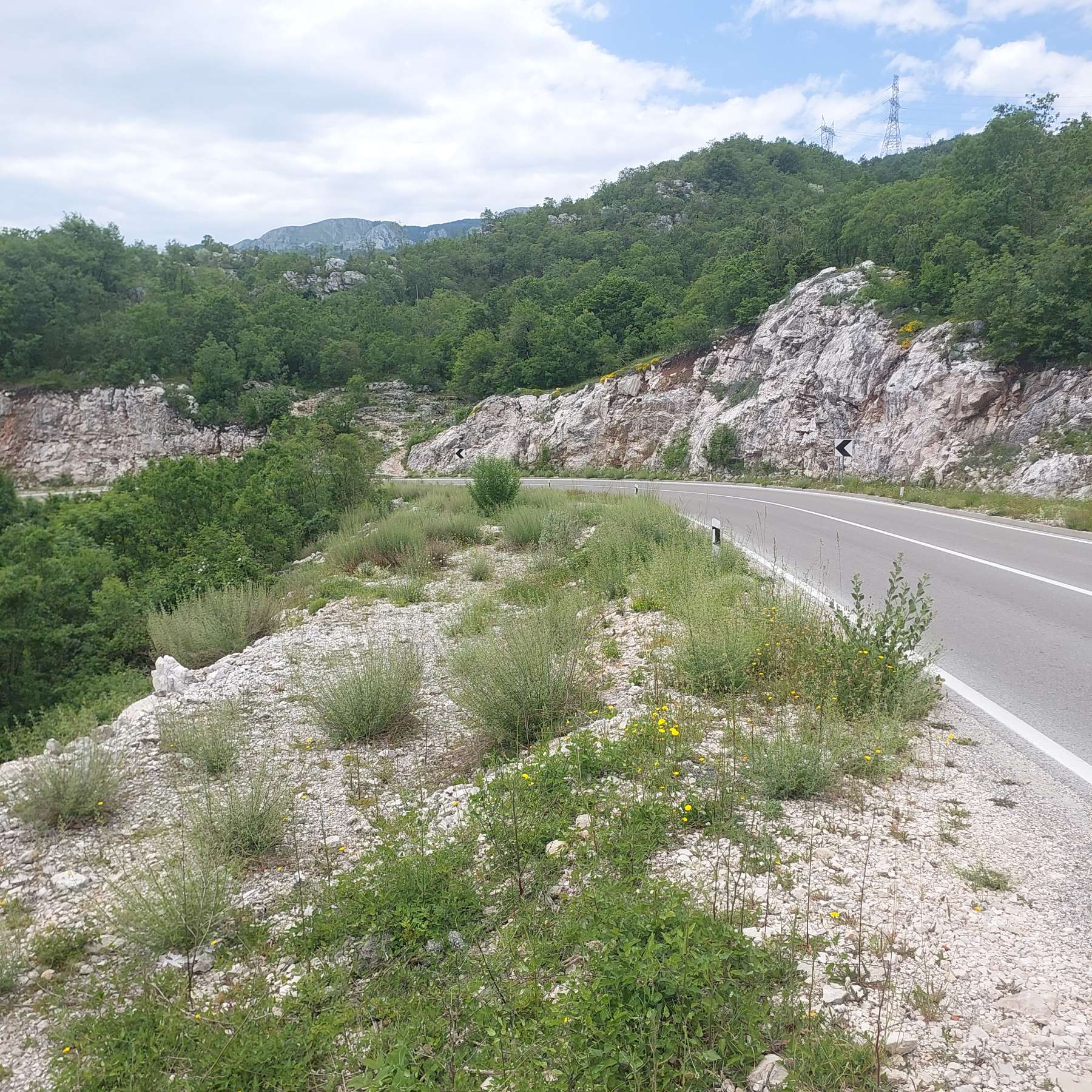 Zemljište 40.744m2 Cetinje
