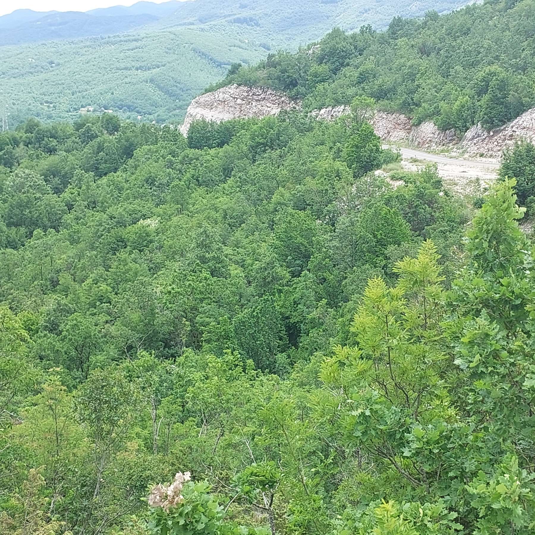 Zemljište 40.744m2 Cetinje - 3