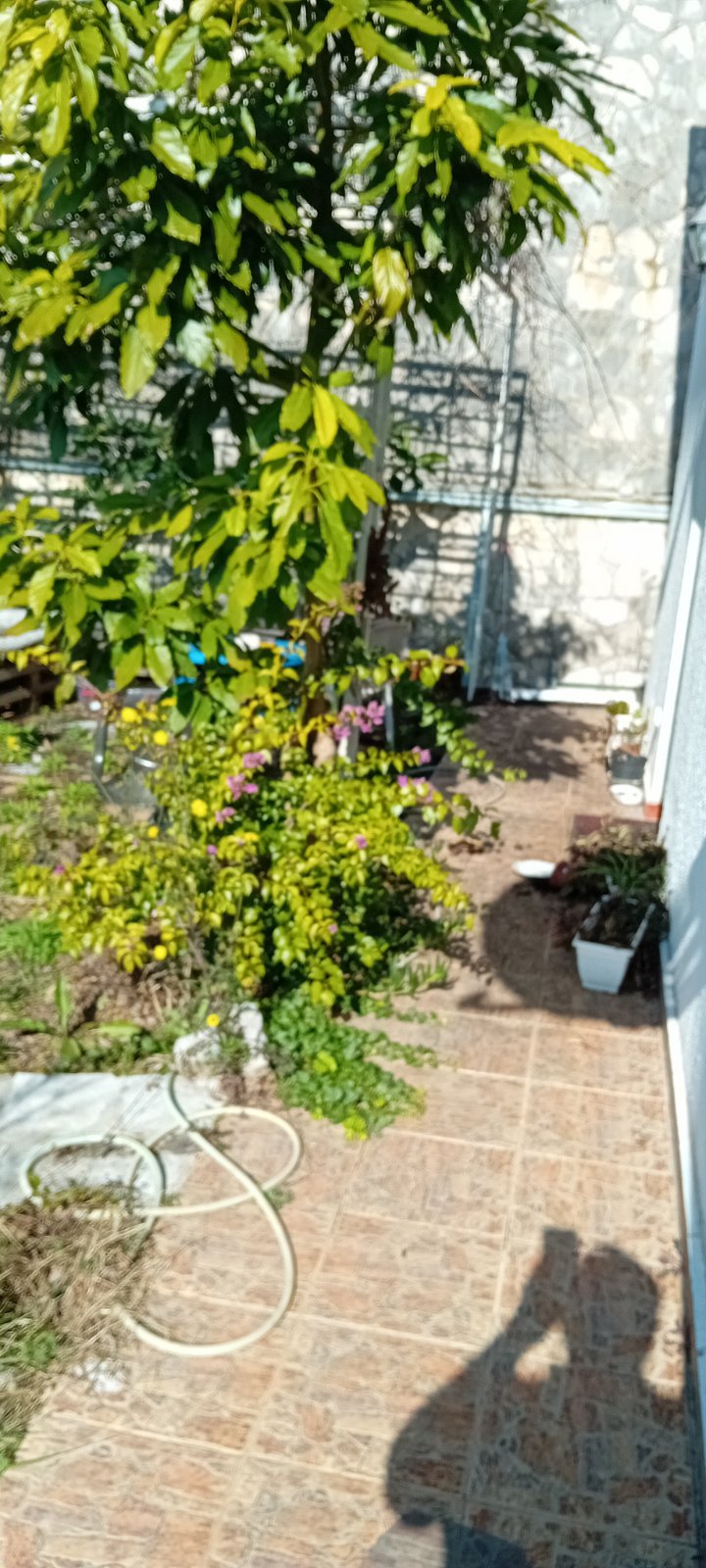 House 69m2 Seoce, Budva - 2