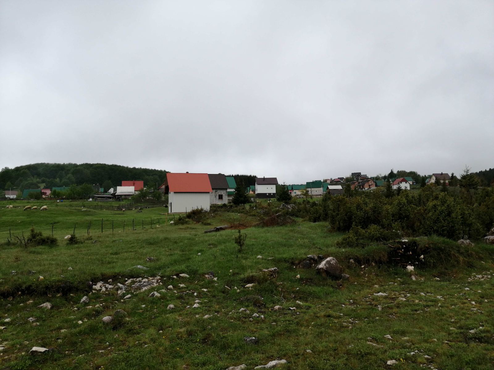 Urbanized Plot 1000m2, Mezdo, Žabljak - 2