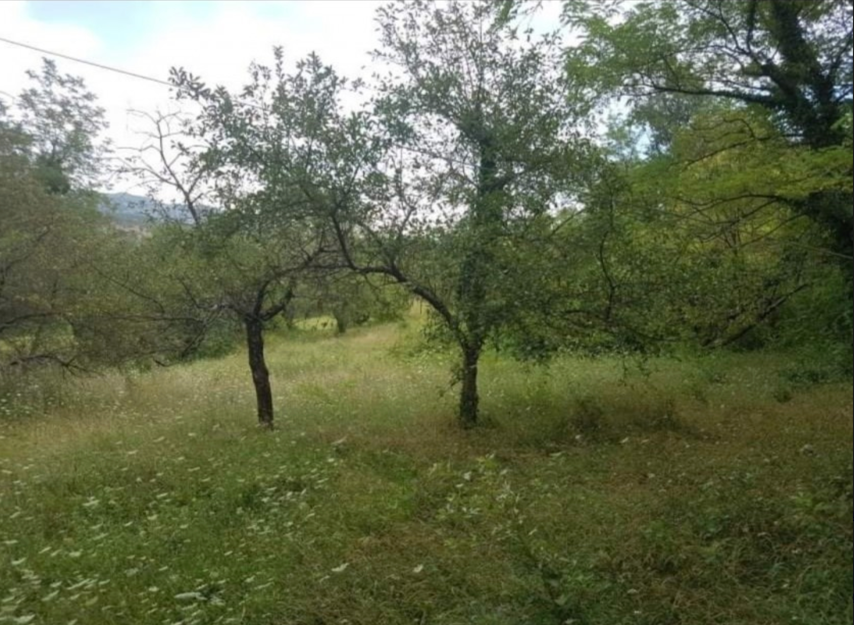 Land Plot 4405 m2, Martinići, Danilovgrad