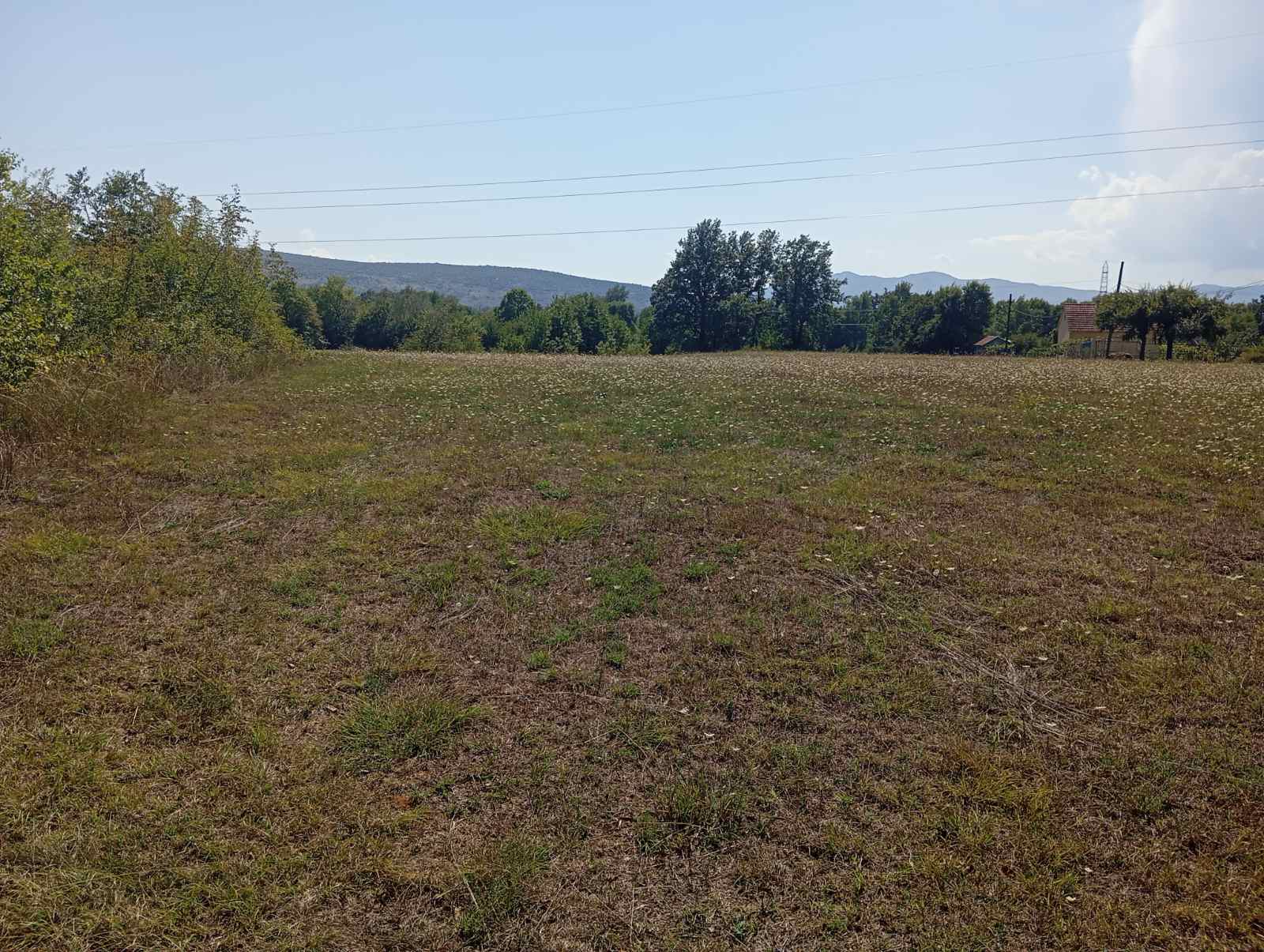 8.000m2 Arsa, Cerovica – Crnci, Podgorica - 8