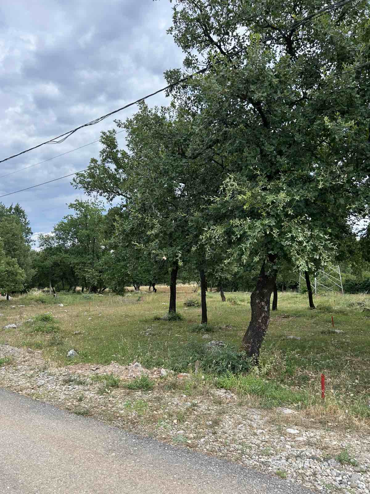 Arsa 3010m2, Vranići, Podgorica - 17