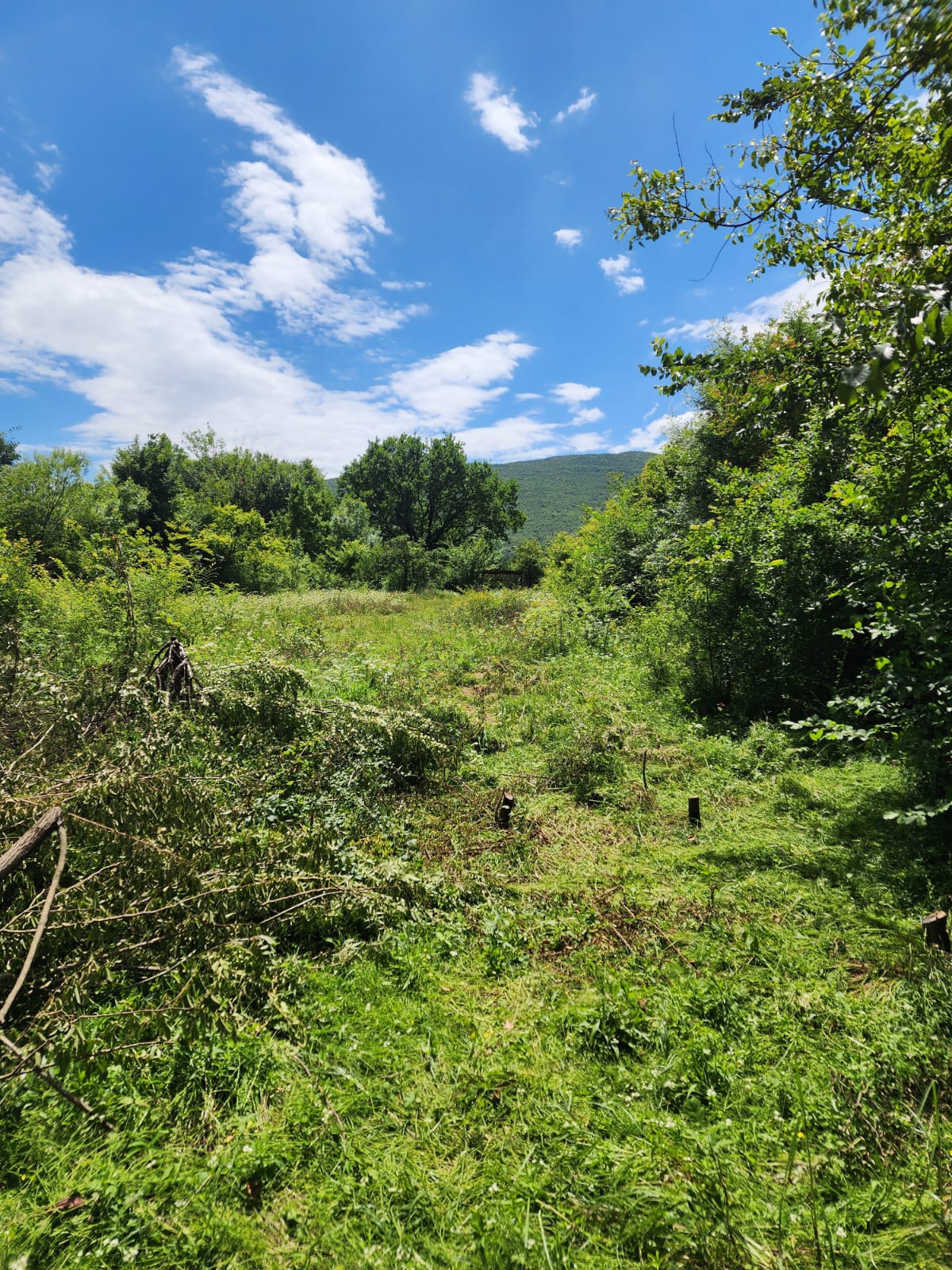 Plac 1322m2 Lužnica, Tološi, Podgorica