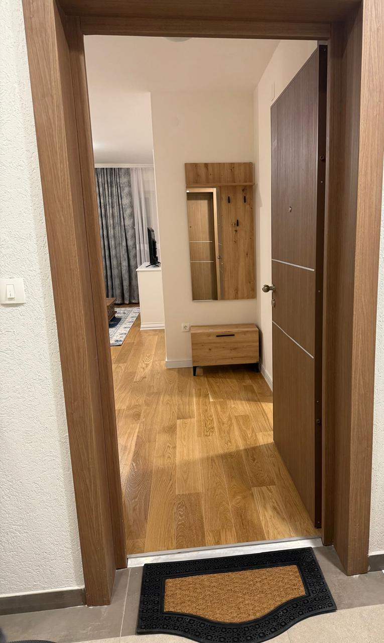 Jednosoban stan 40m2 Central Point, Podgorica - 7