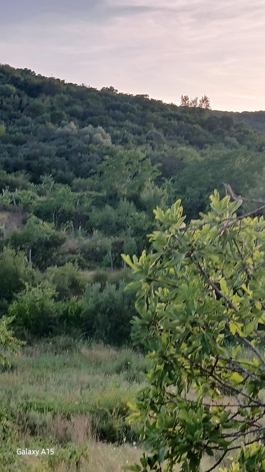Plac sa kućom 80000m2 Radanovići, Kotor - 3