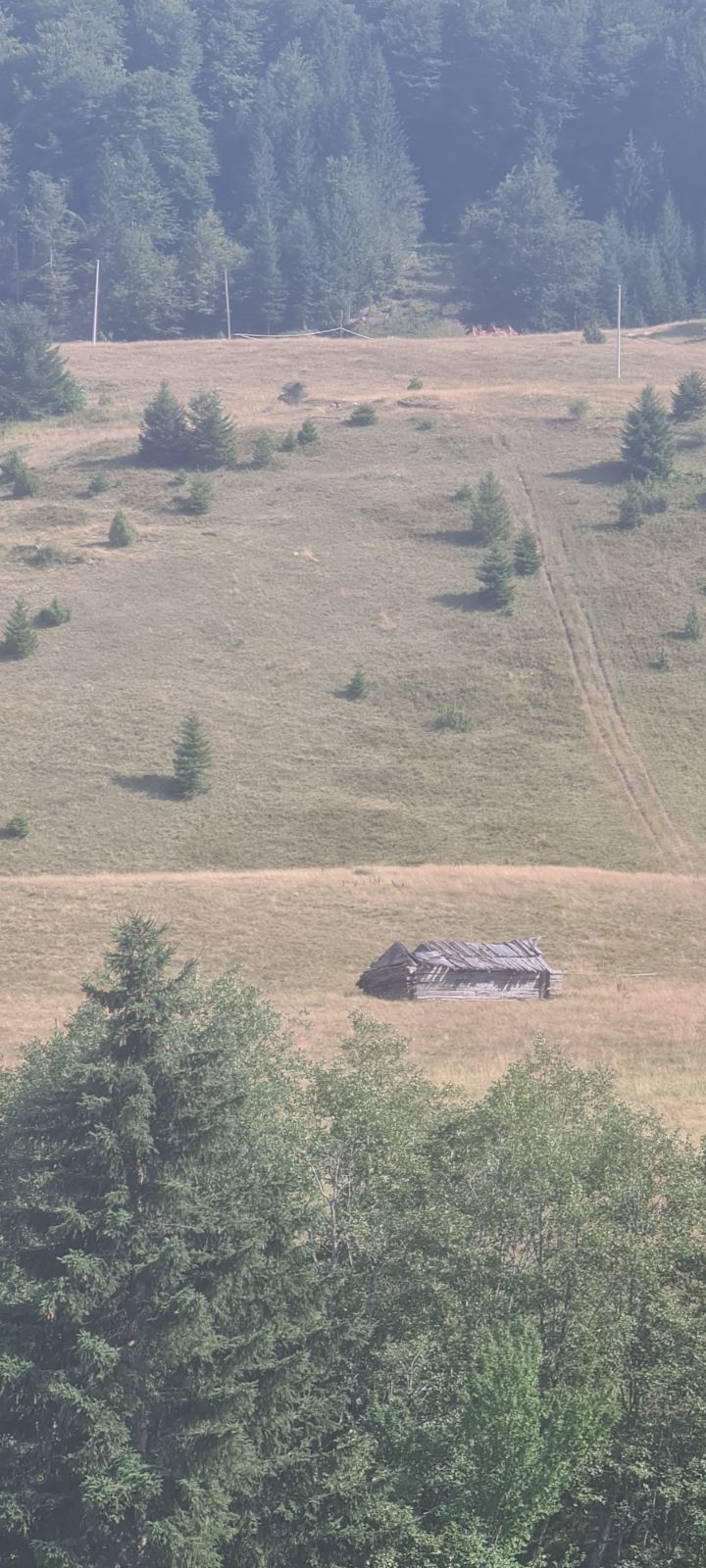 Urbanizovan plac 11000m2 Jelovica, Berane - 2