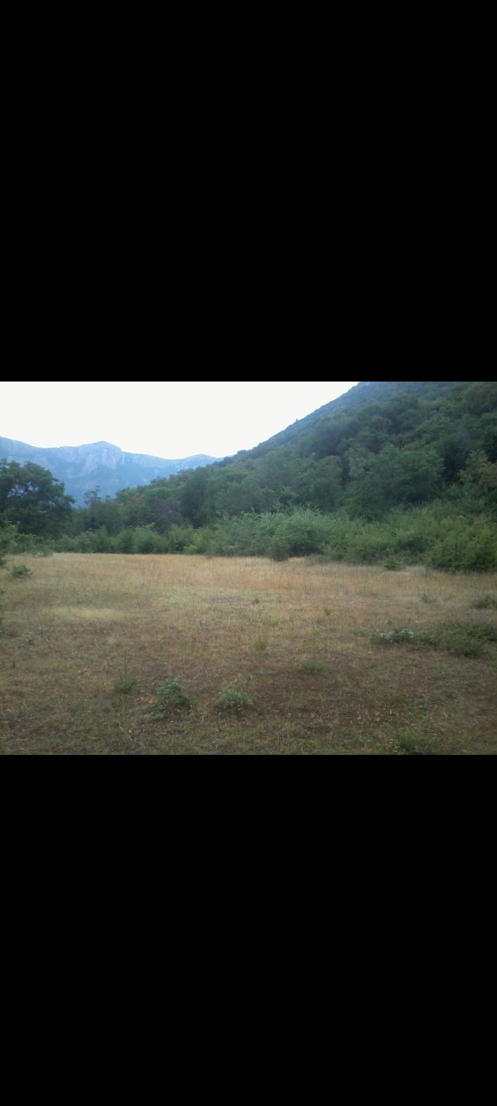 Land 21000m2 Ratkovići, Bar