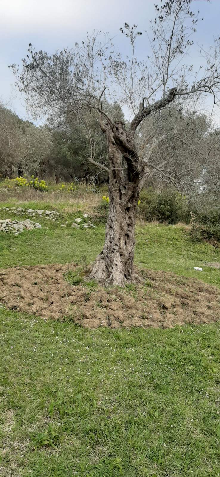 Land 1300m2 Valdanos, Ulcinj