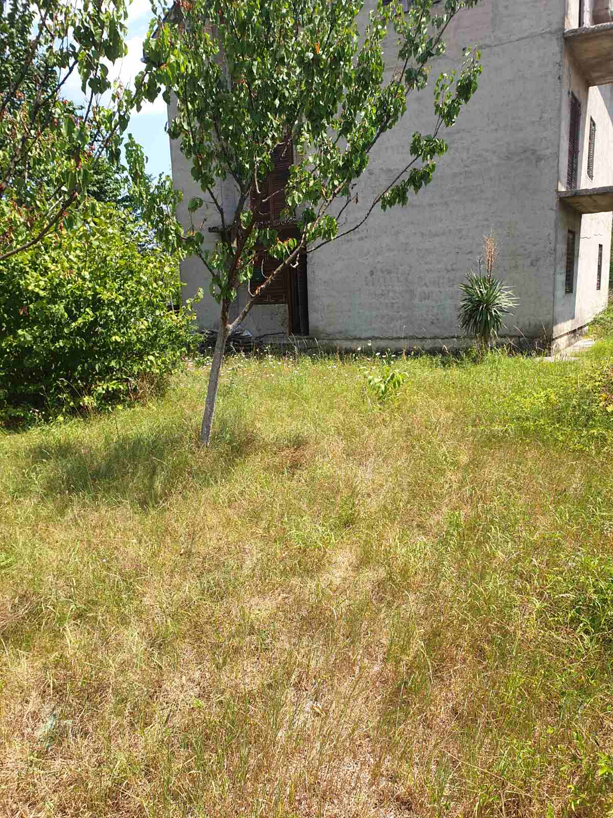 Satılık Ev Nikšić 360m2 - 6