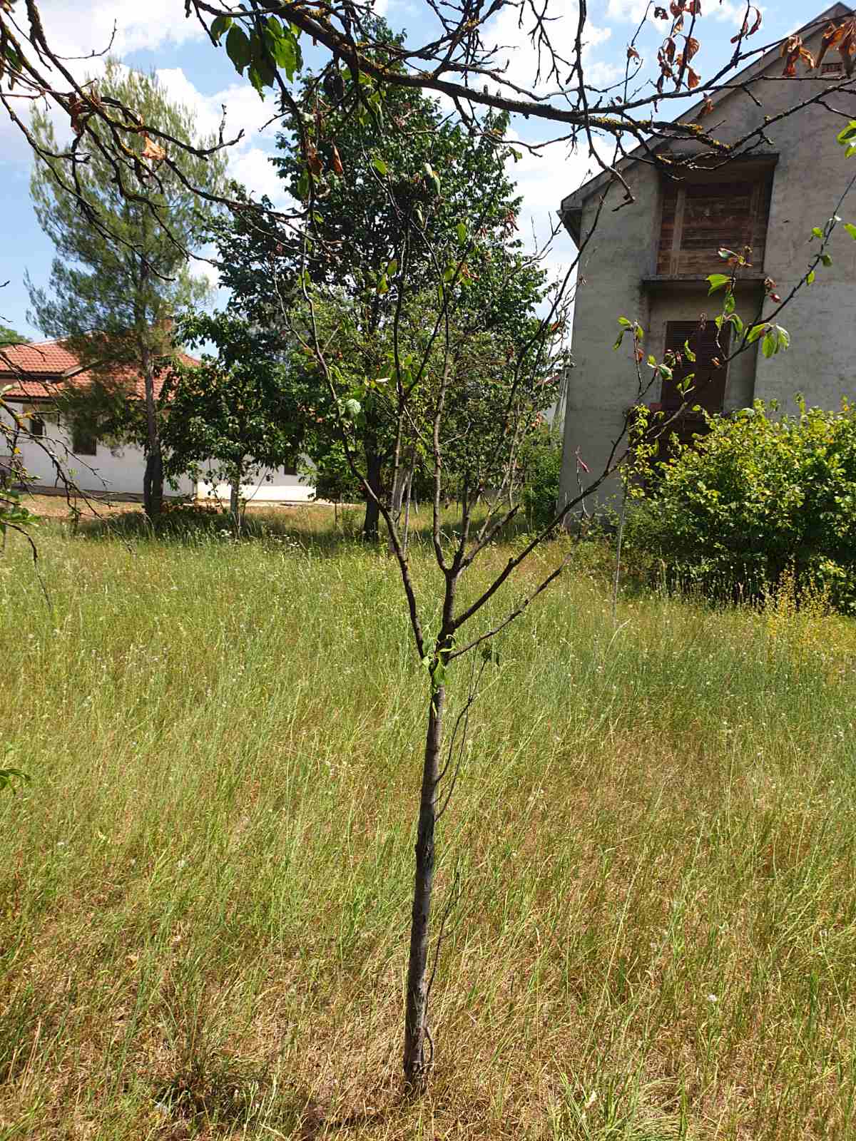 Satılık Ev Nikšić 360m2 - 11