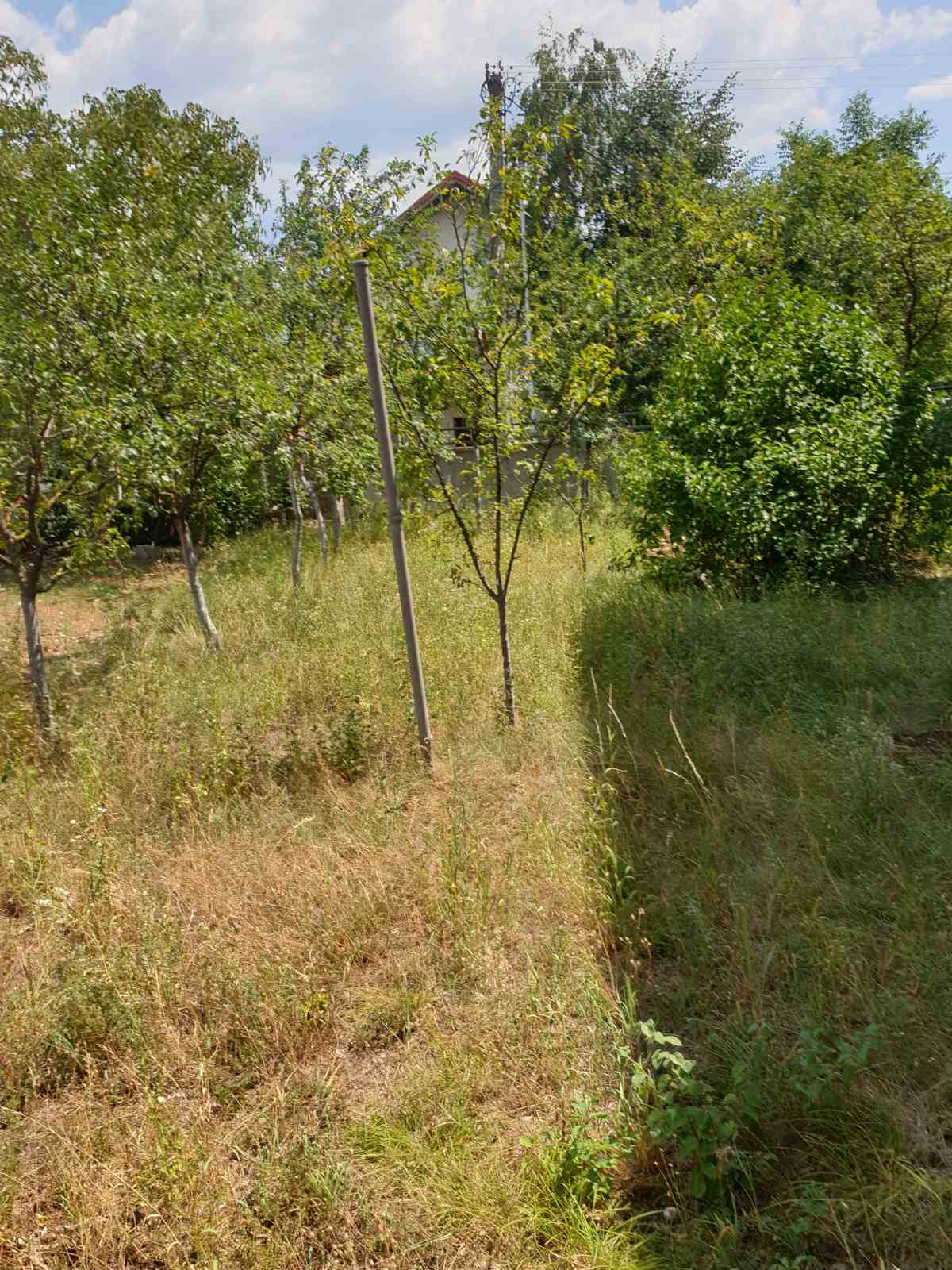 Satılık Ev Nikšić 360m2 - 13