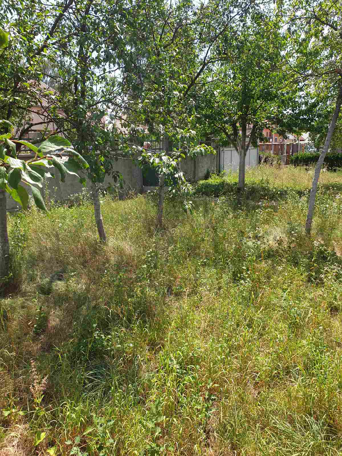 Satılık Ev Nikšić 360m2 - 14