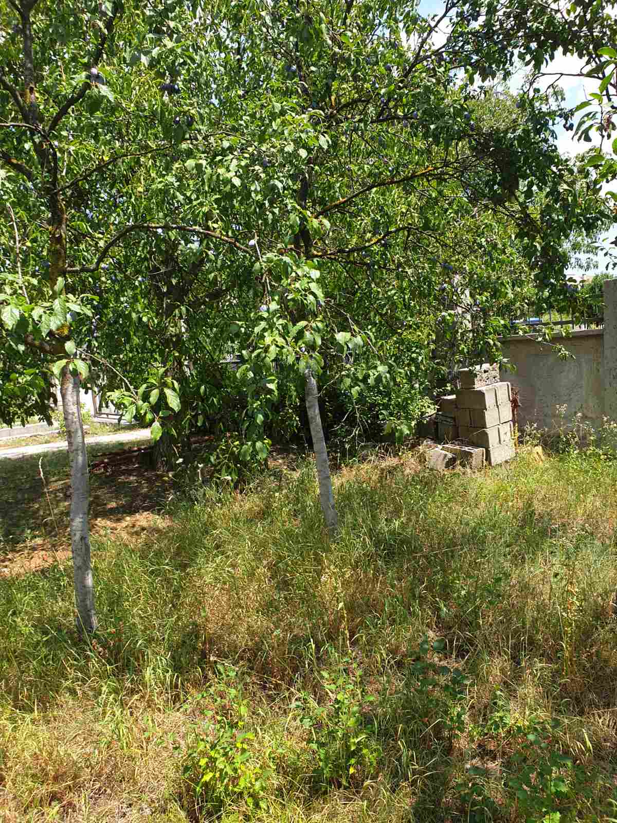 Satılık Ev Nikšić 360m2 - 16