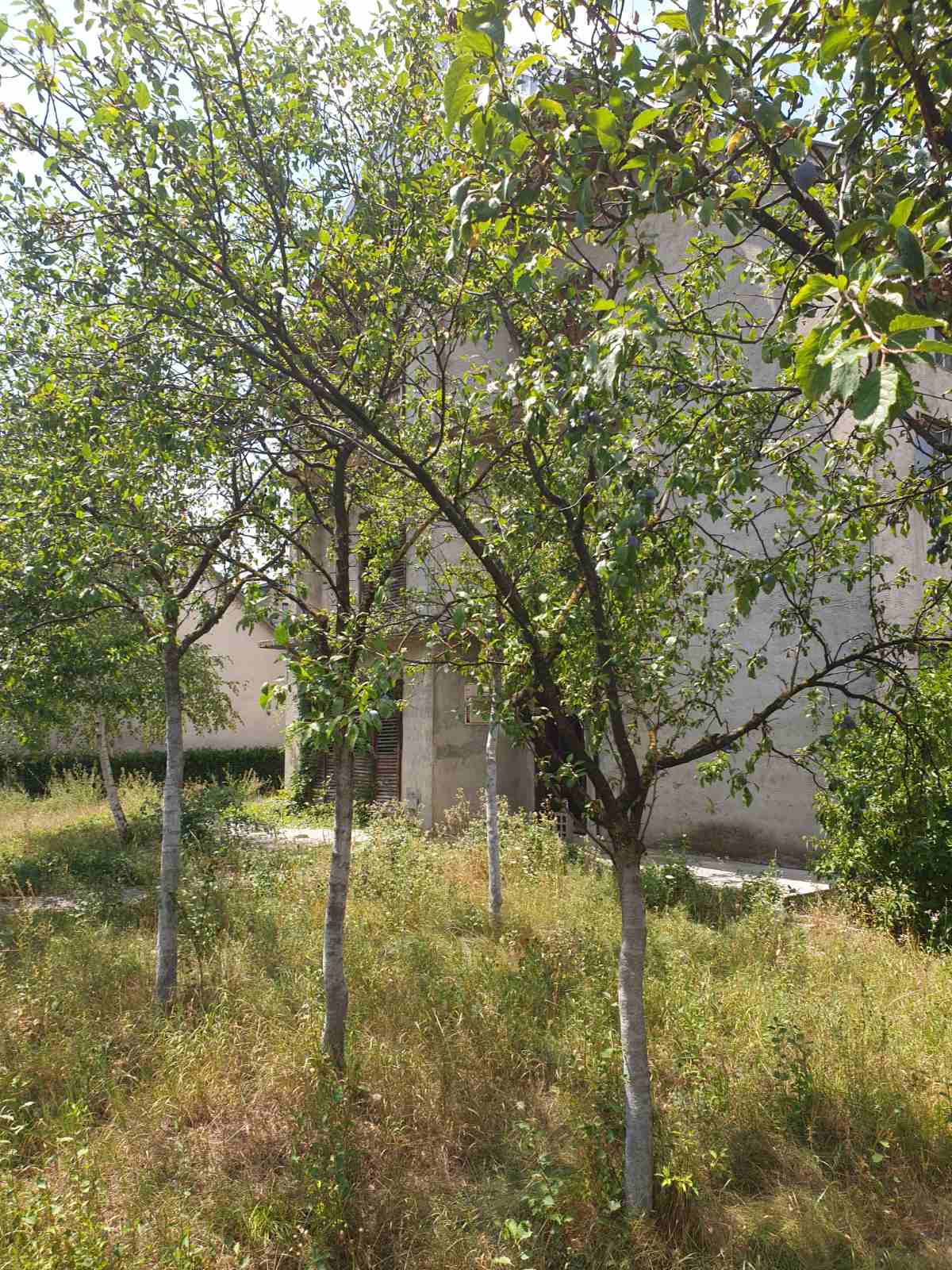Satılık Ev Nikšić 360m2 - 17