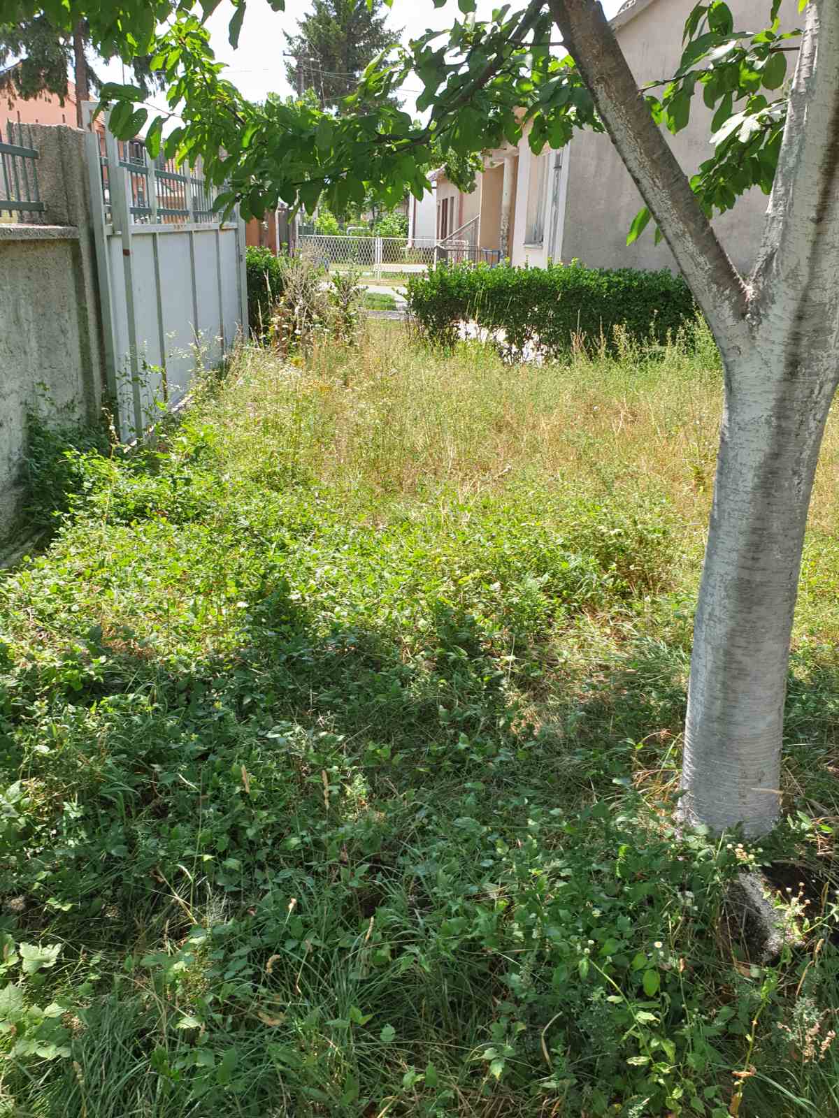 Satılık Ev Nikšić 360m2 - 22