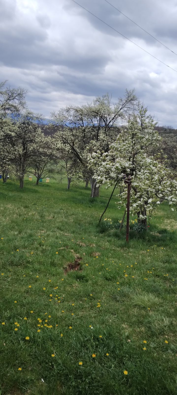 Kuća na prodaju Pljevlja 88m2 - 20