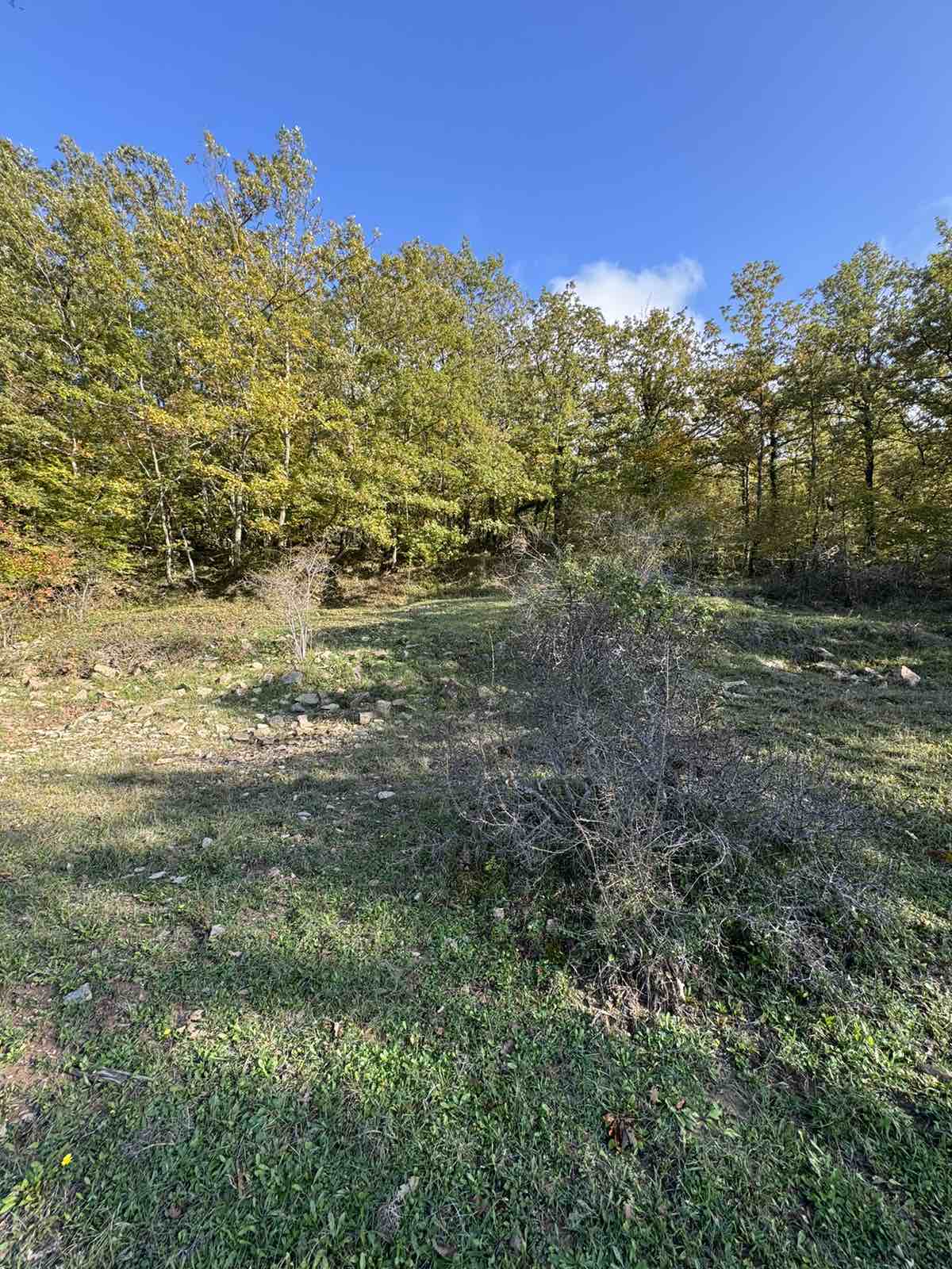 Land Kolasin 208m2 - 11