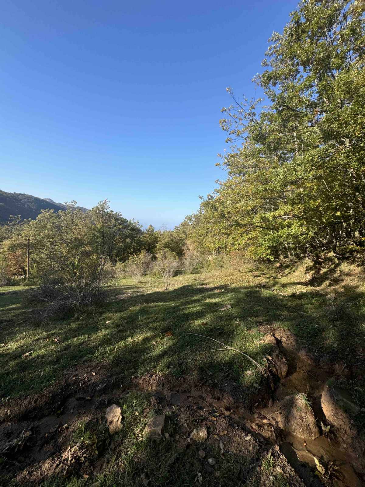 Land Kolasin 208m2 - 12