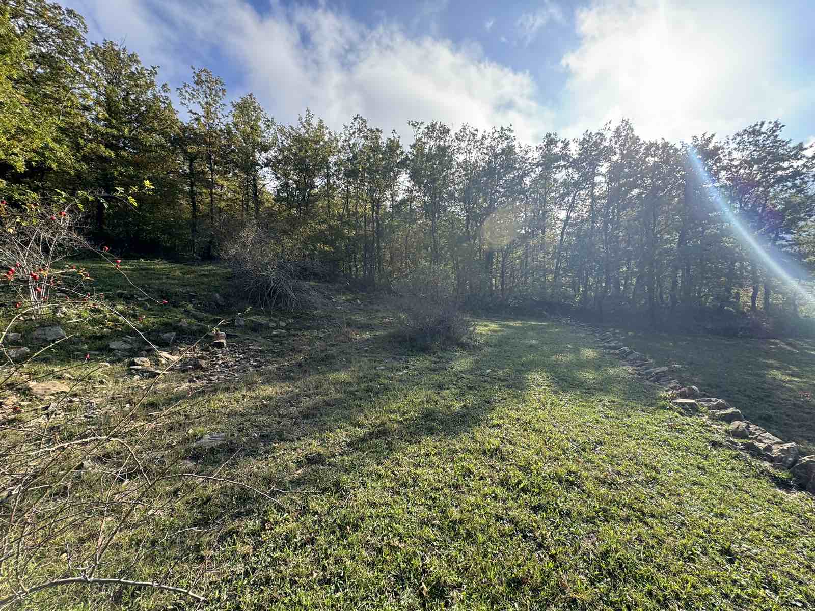 Land Kolasin 208m2 - 13