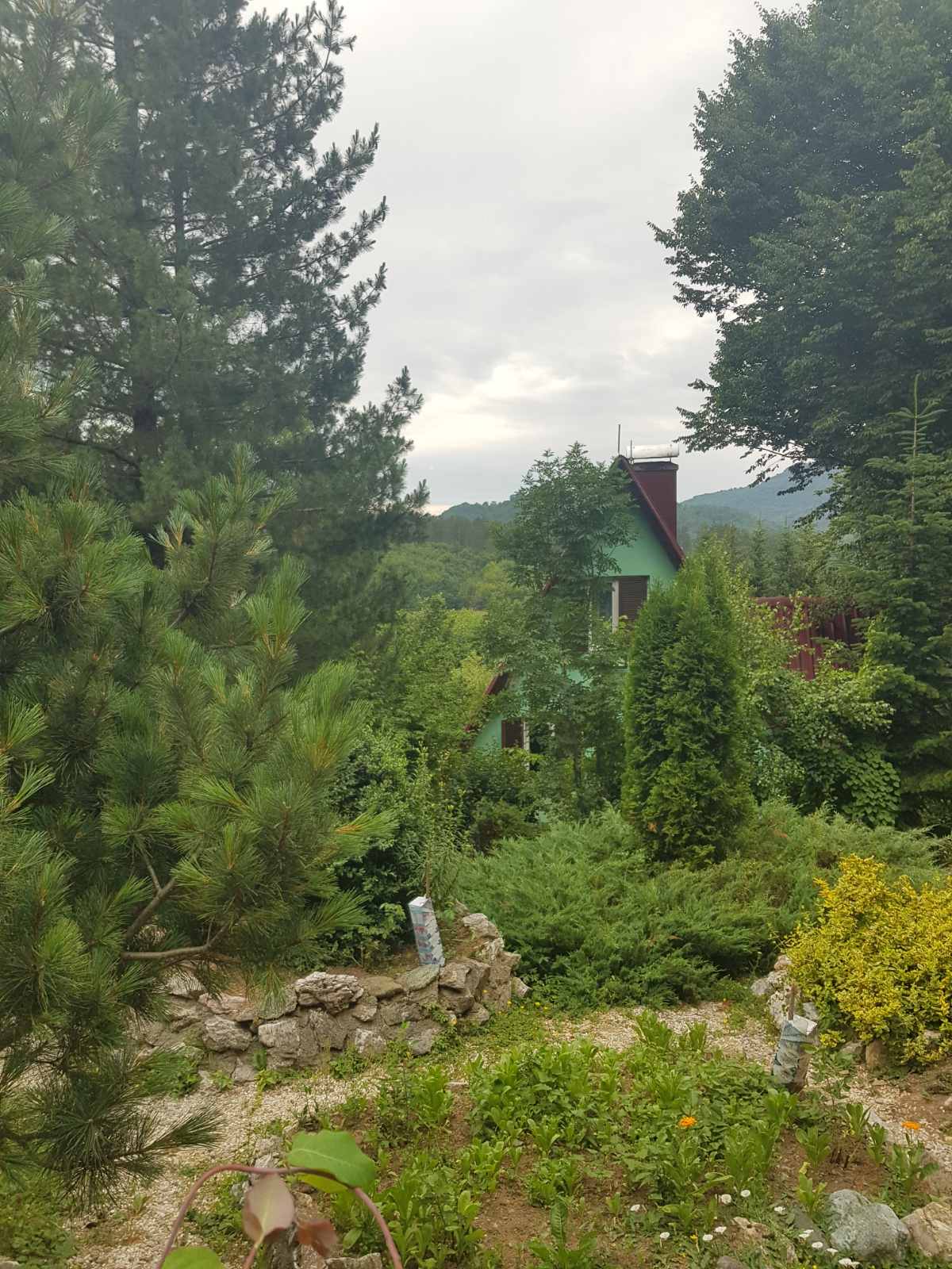 Land Kolasin 208m2 - 15