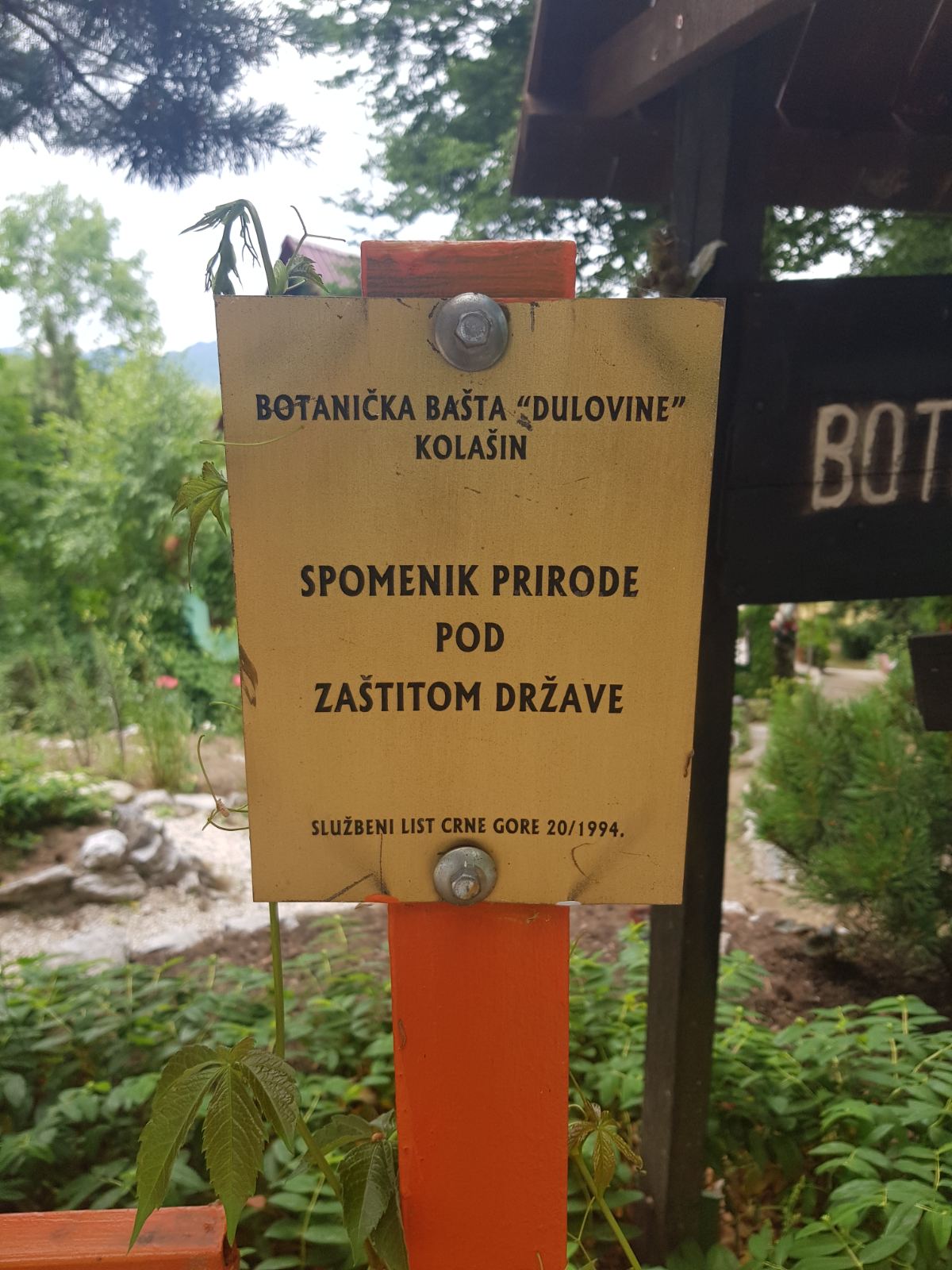 Land Kolasin 208m2 - 18
