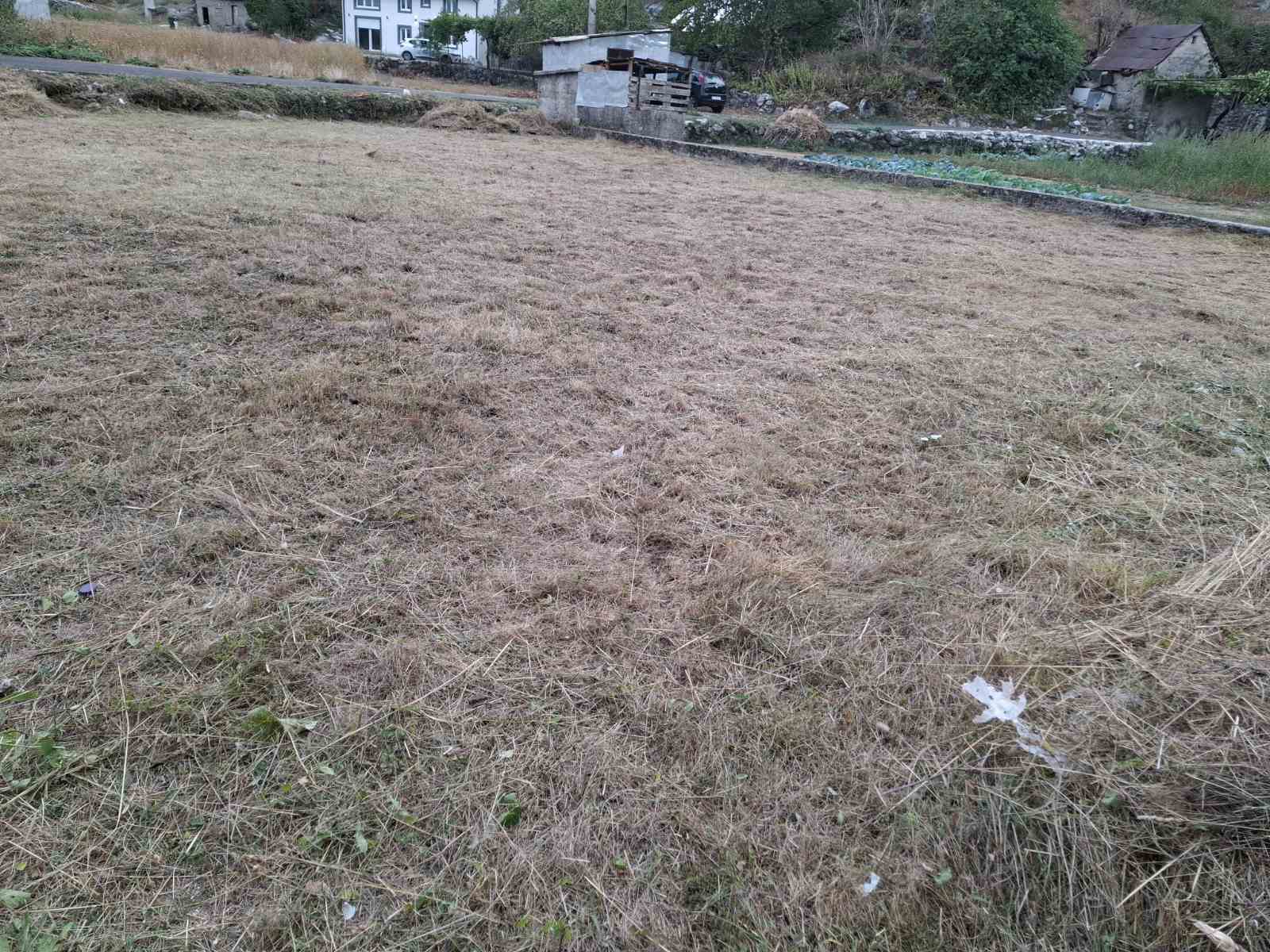 Urbanized plot 550m², Bajice, Cetinje - 8
