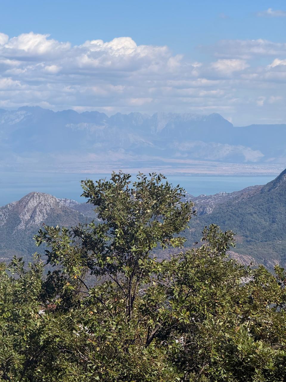 18.280 m2 Arsa, Gluhi Do, Bar - 6