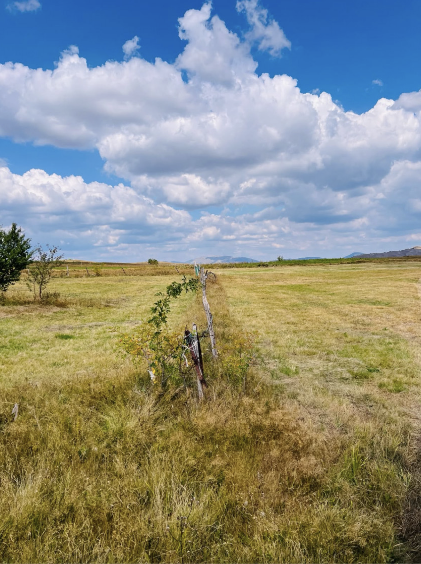 Zemljište 6700 m2, Pašina Voda 2, Žabljak - 6